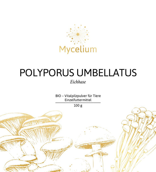 BIO Polyporus umbellatus Eichhase 100g Pulver für Tiere – Natürliche Tiergesundheit durch biologische Heilpilze (Vorderseite)