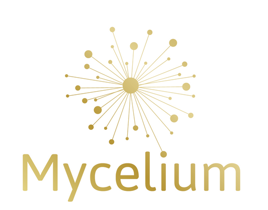 Pilzkraft verschenken: Ihr digitaler Geschenkgutschein