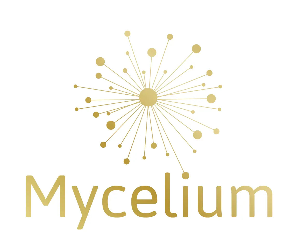 Pilzkraft verschenken: Ihr digitaler Geschenkgutschein Mycelium