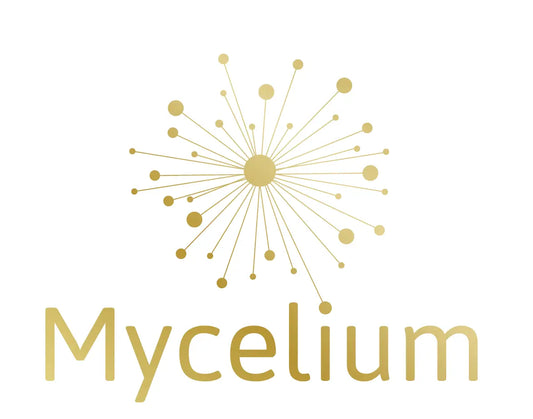 Pilzkraft verschenken: Ihr digitaler Geschenkgutschein Mycelium