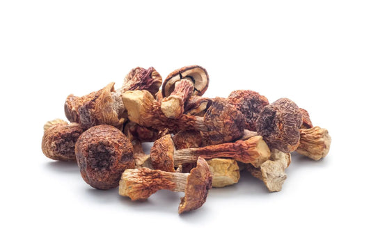 Weihnachtspaket mit 3 Vitalpilzen Maitake, Reishi & ABM Mycelium Pilzkraft GmbH