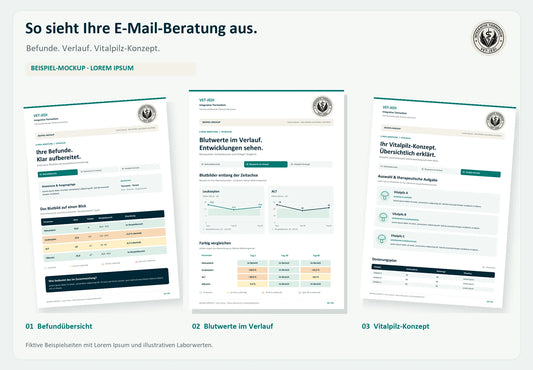 Beispielbild der Vitalpilz-E-Mail-Beratung: drei fiktive PDF-Seiten mit Lorem Ipsum. Umfang und Grafiken hängen von den eingereichten Befunden ab.