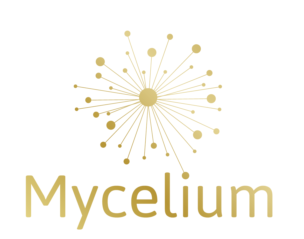 Das Logo von Mycelium Pilzkraft GmbH zeigt einen zentralen schwarzen Kreis, der das Myzel darstellt, umgeben von einem komplexen Netzwerk aus Linien und Knoten, die die weitreichende und vernetzte Natur der Wurzeln von Heilpilzen symbolisieren und unsere Hingabe widerspiegeln, die heilende Kraft der Vitalpilze zu nutzen.