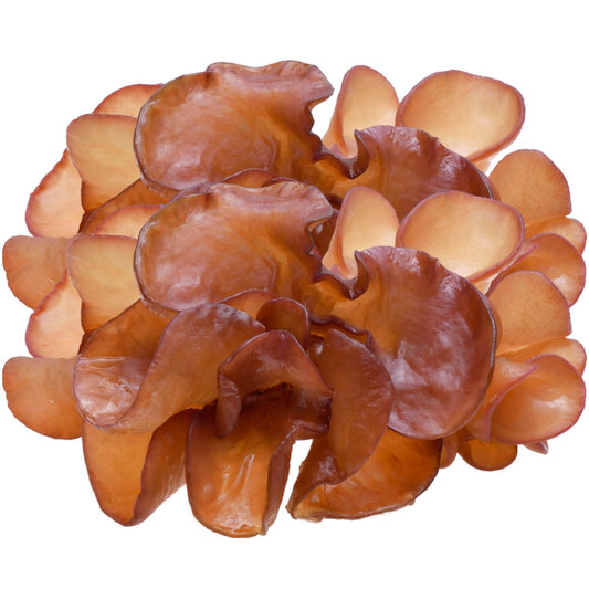 Frisch geerntete Auricularia-Pilze (Judasohr)vor weißem Hintergrund, hervorgehoben durch ihre Vorteile für die Immunabwehr, antioxidative Wirkung, Förderung der Wundheilung und Verbesserung der Blutzirkulation.