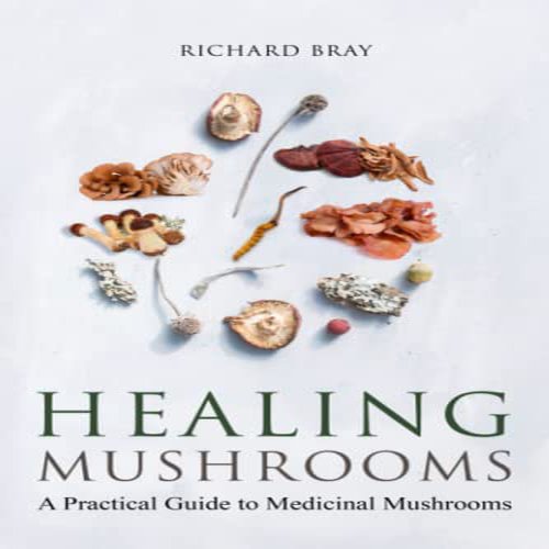 Buchcover von 'Healing Mushrooms: A Practical Guide to Healing Mushrooms (Urban Homesteading, Band 8)' – Ein praktischer Leitfaden zur Heilwirkung von Pilzen, veröffentlicht im August 2020.