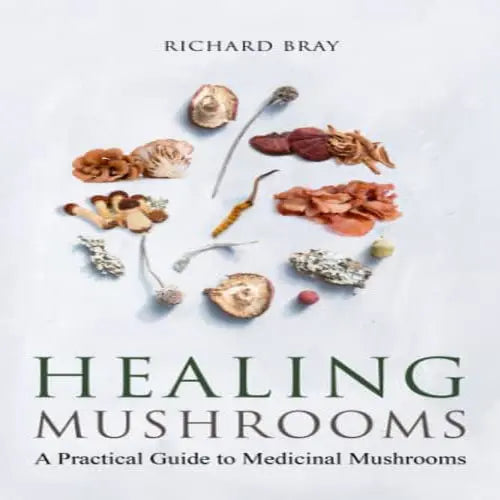 Buchcover von 'Healing Mushrooms: A Practical Guide to Healing Mushrooms (Urban Homesteading, Band 8)' – Ein praktischer Leitfaden zur Heilwirkung von Pilzen, veröffentlicht im August 2020.