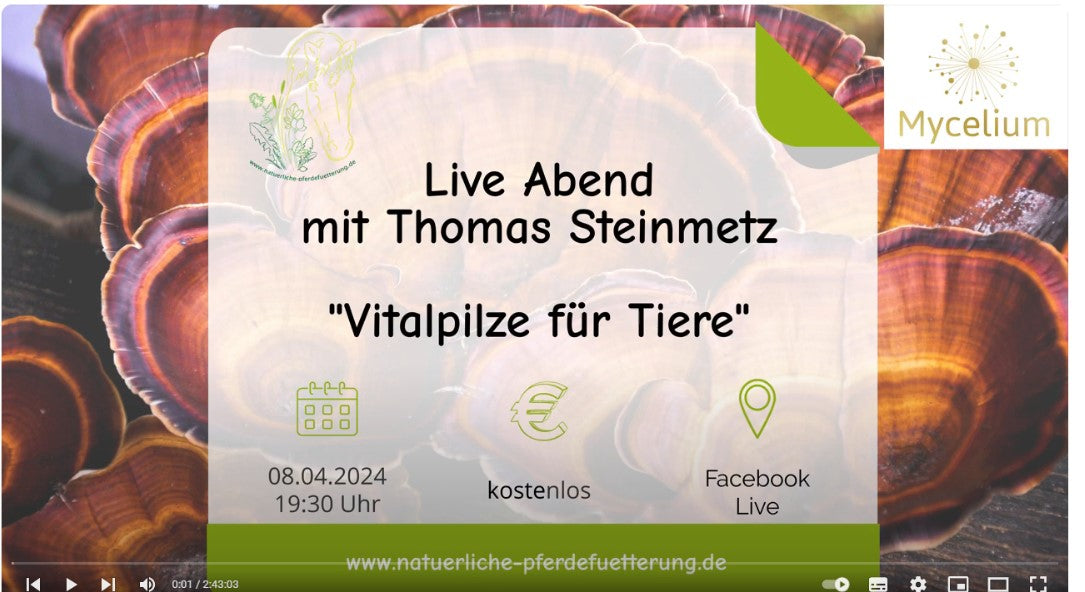 Video laden: Vitalpilze für Tiere - Live Abend mit Thomas Steinmetz &amp; Natürliche Pferdefütterung