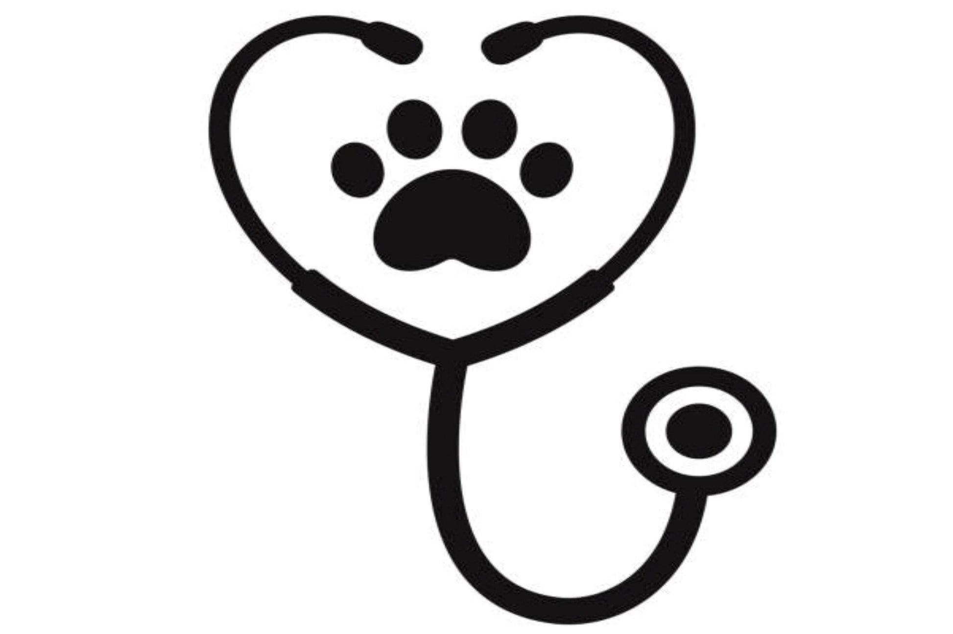 Abbildung eines Stethoskops mit einem herzförmigen Hörkopf, in dem sich eine Pfotenabdruck befindet, symbolisch für veterinärmedizinische Beratung zum Thema Vitalpilze durch externe Spezialisten.