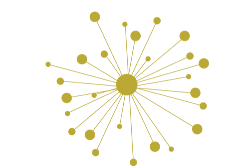 Das Logo von Mycelium Pilzkraft GmbH zeigt einen zentralen schwarzen Kreis, der das Myzel darstellt, umgeben von einem komplexen Netzwerk aus Linien und Knoten, die die weitreichende und vernetzte Natur der Wurzeln von Heilpilzen symbolisieren und unsere Hingabe widerspiegeln, die heilende Kraft der Vitalpilze zu nutzen.