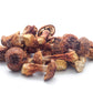 Mycelium Pilzkraft Starterpaket Human BIO ABM