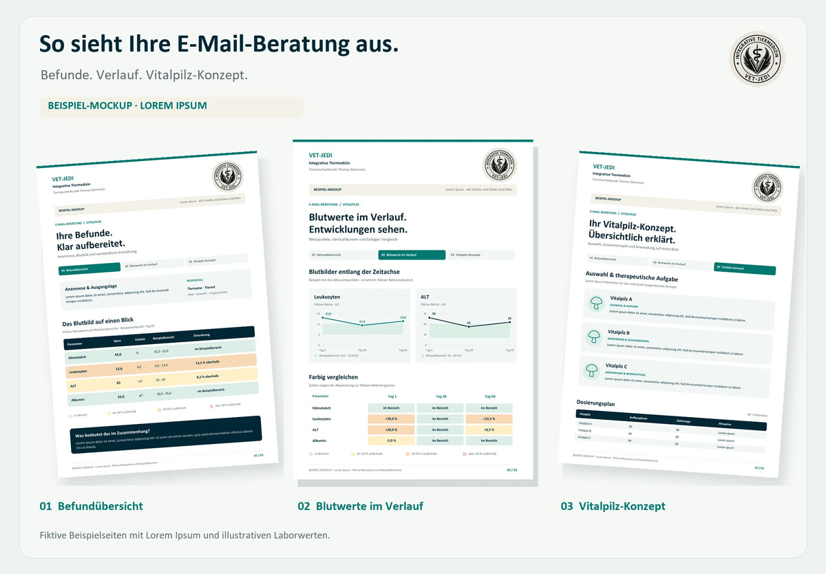 Beispielbild der Vitalpilz-E-Mail-Beratung: drei fiktive PDF-Seiten mit Lorem Ipsum. Umfang und Grafiken hängen von den eingereichten Befunden ab.