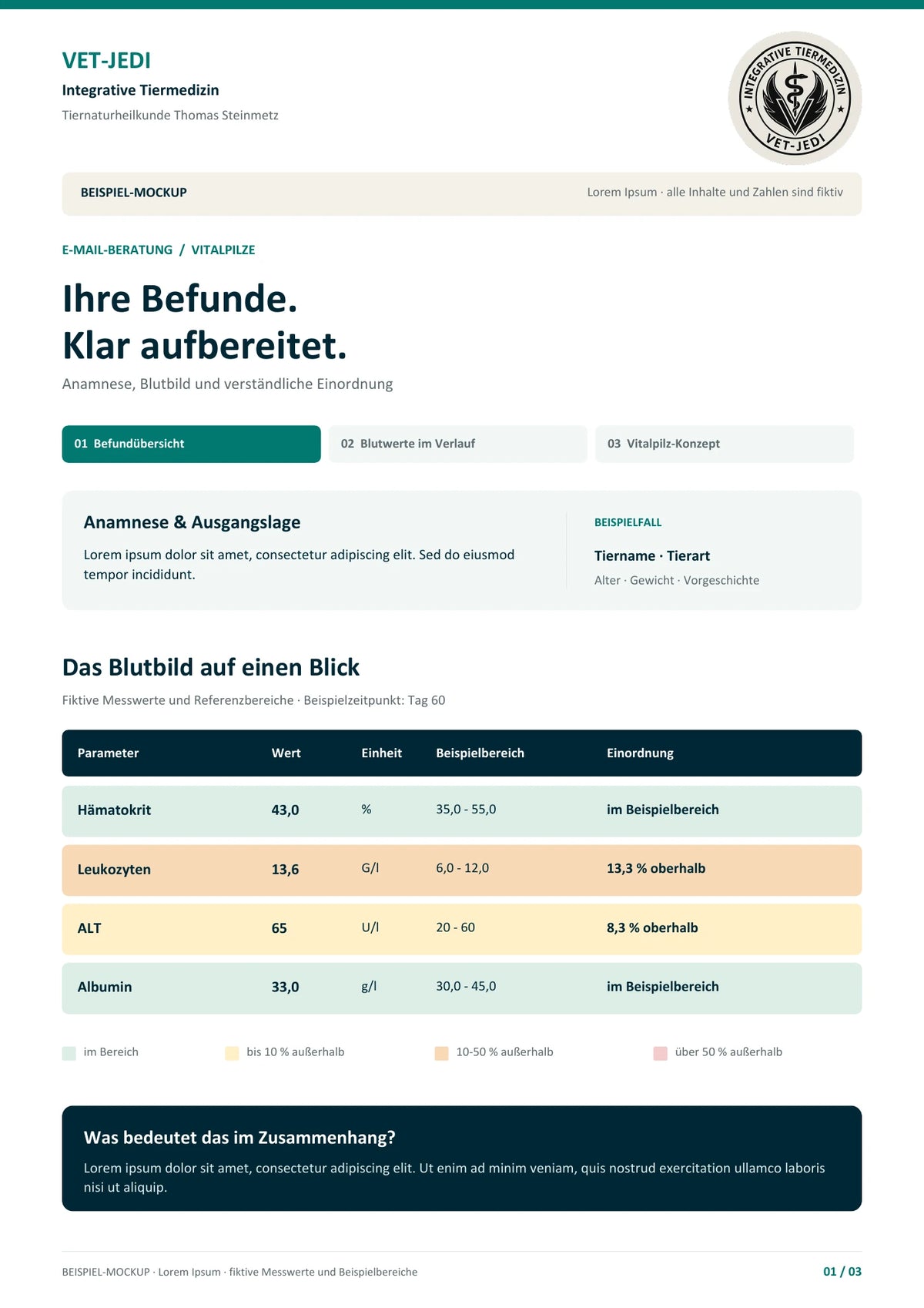 Beispielbild: farbig aufbereitetes Blutbild mit fiktiven Messwerten und Lorem Ipsum. Die tatsächliche Auswertung richtet sich nach den vorliegenden Befunden.